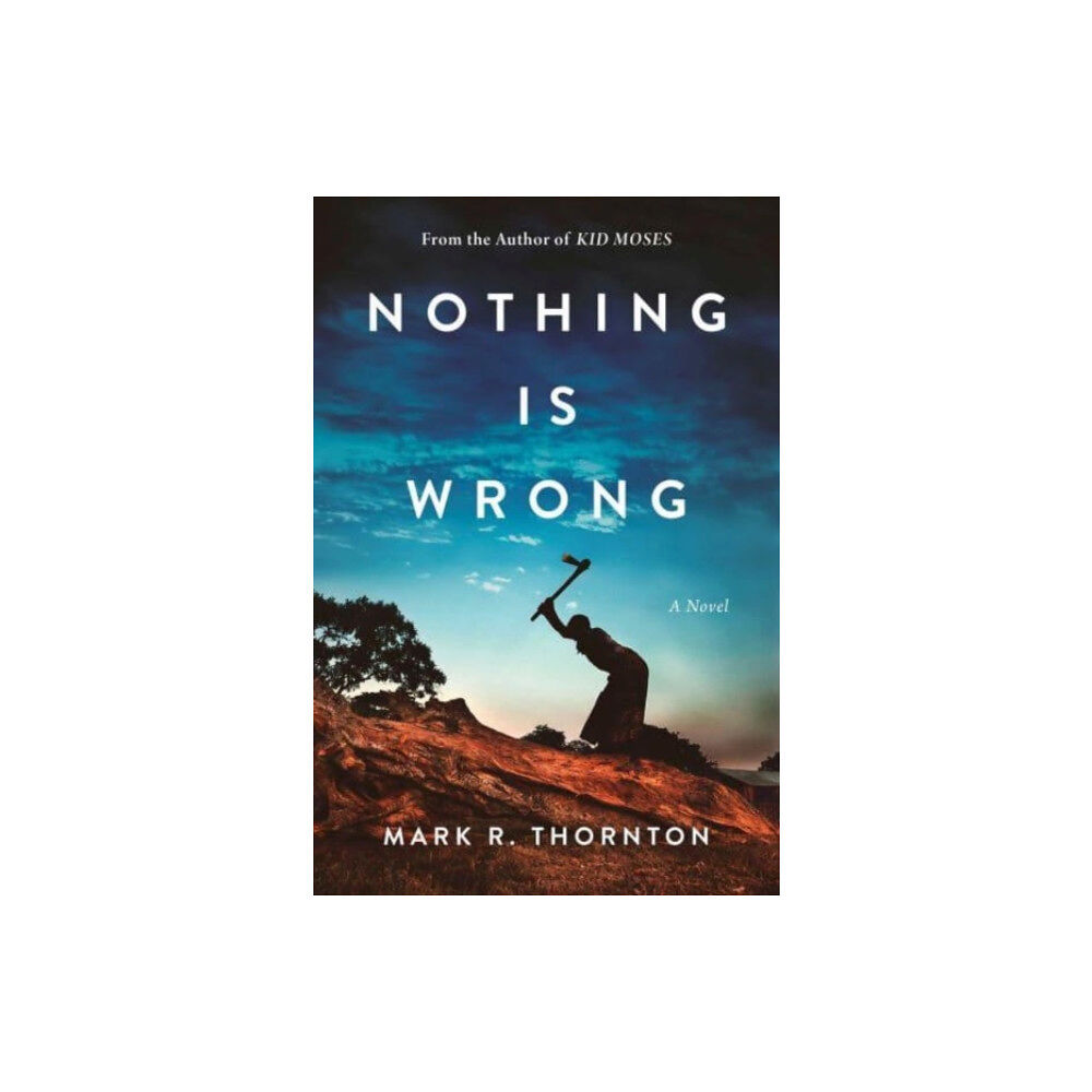 Skyhorse Publishing Nothing Is Wrong (inbunden, eng)