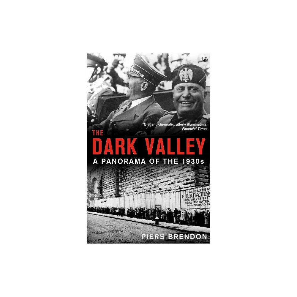 Vintage The Dark Valley (häftad, eng)