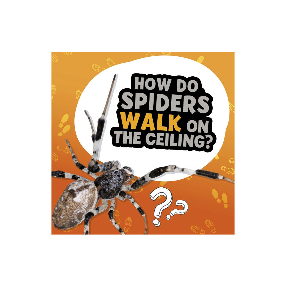 Capstone Global Library Ltd How Do Spiders Walk on the Ceiling? (häftad, eng)