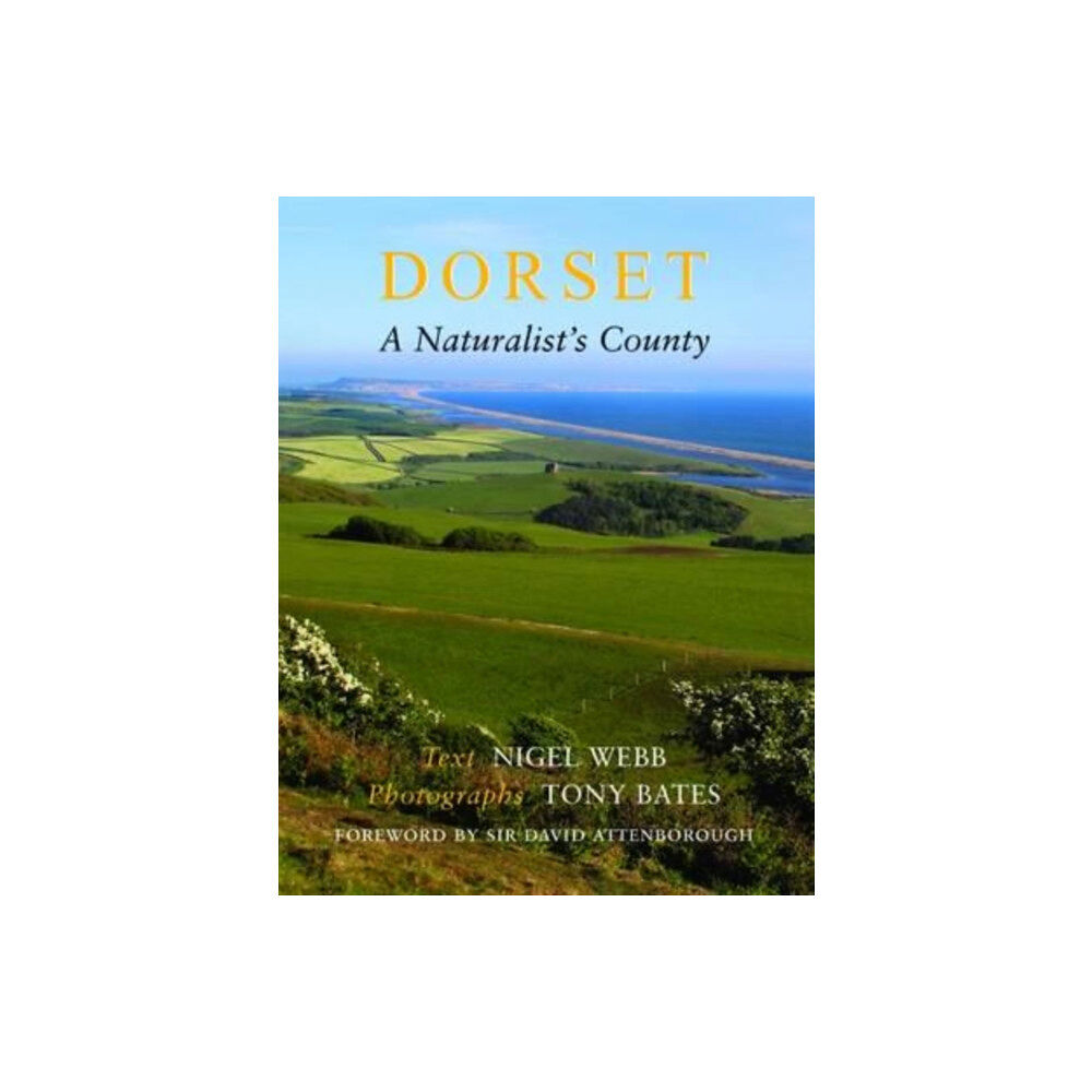 The Dovecote Press Dorset, a Naturalist's County (häftad, eng)