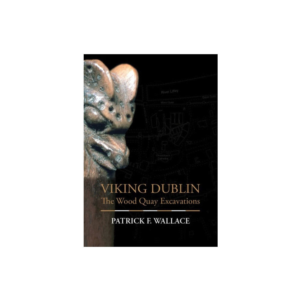 Irish Academic Press Ltd Viking Dublin (inbunden, eng)