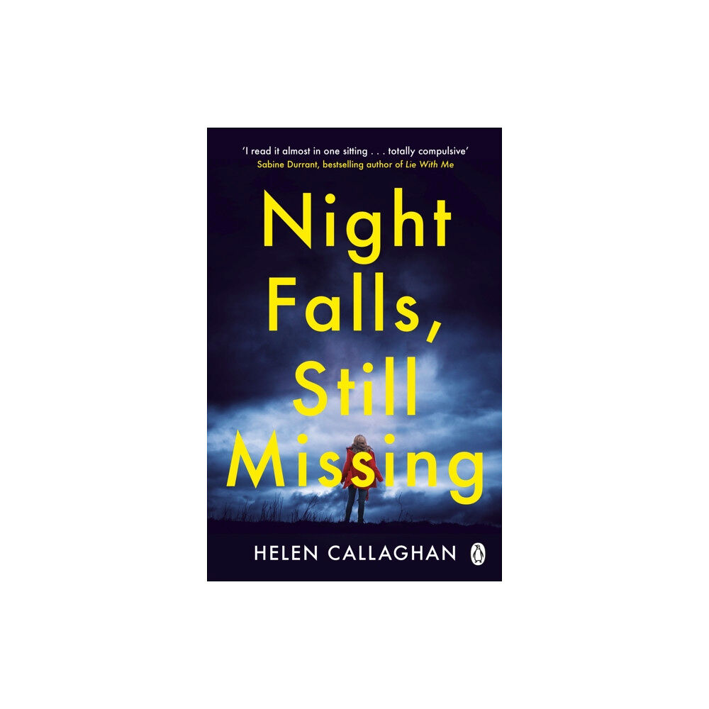 Penguin books ltd Night Falls, Still Missing (häftad, eng)