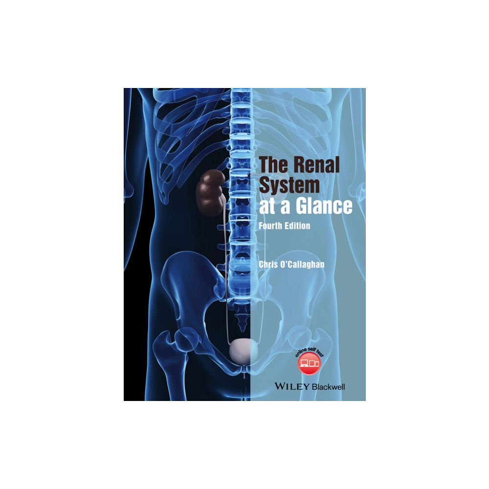 John Wiley And Sons Ltd The Renal System at a Glance (häftad, eng)