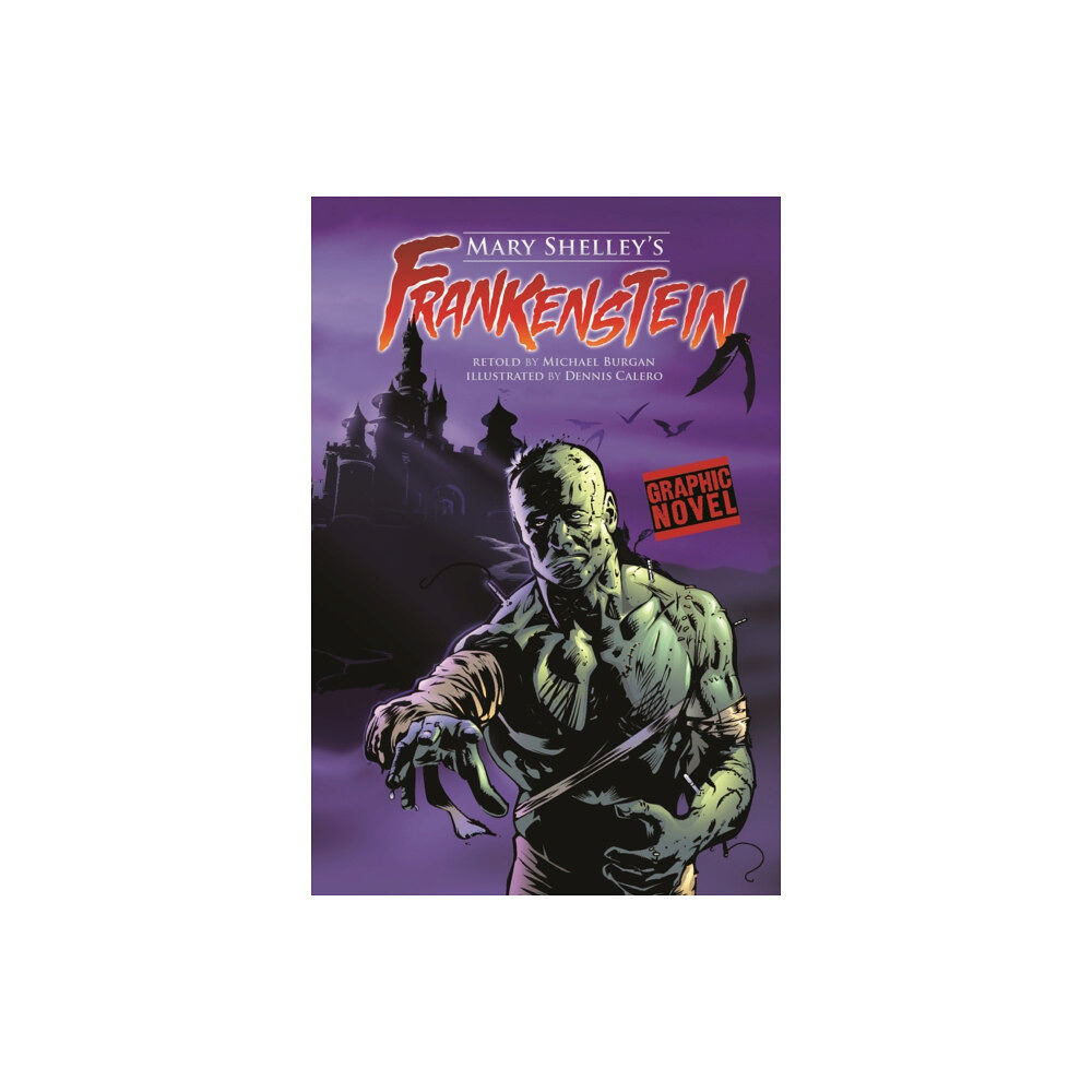 Capstone Global Library Ltd Frankenstein (häftad, eng)