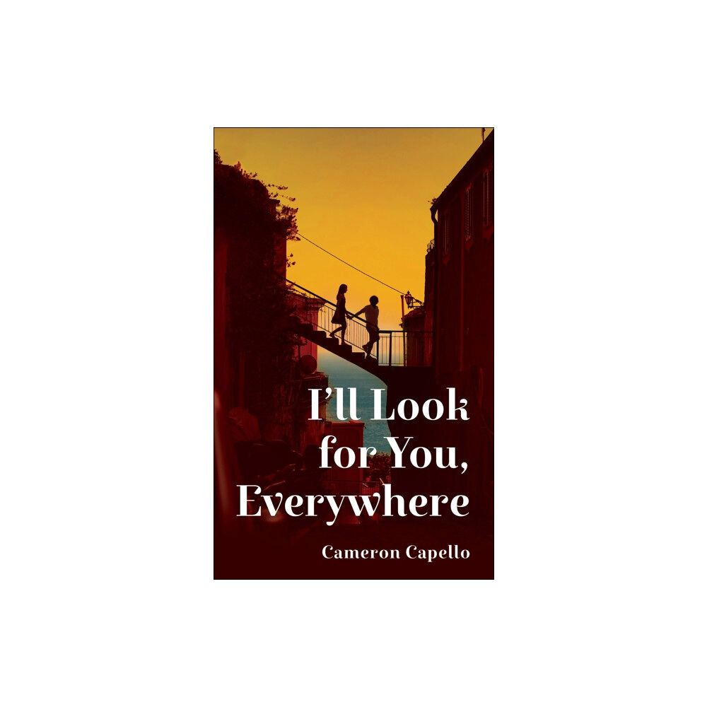 Pan Macmillan I'll Look for You, Everywhere (häftad, eng)