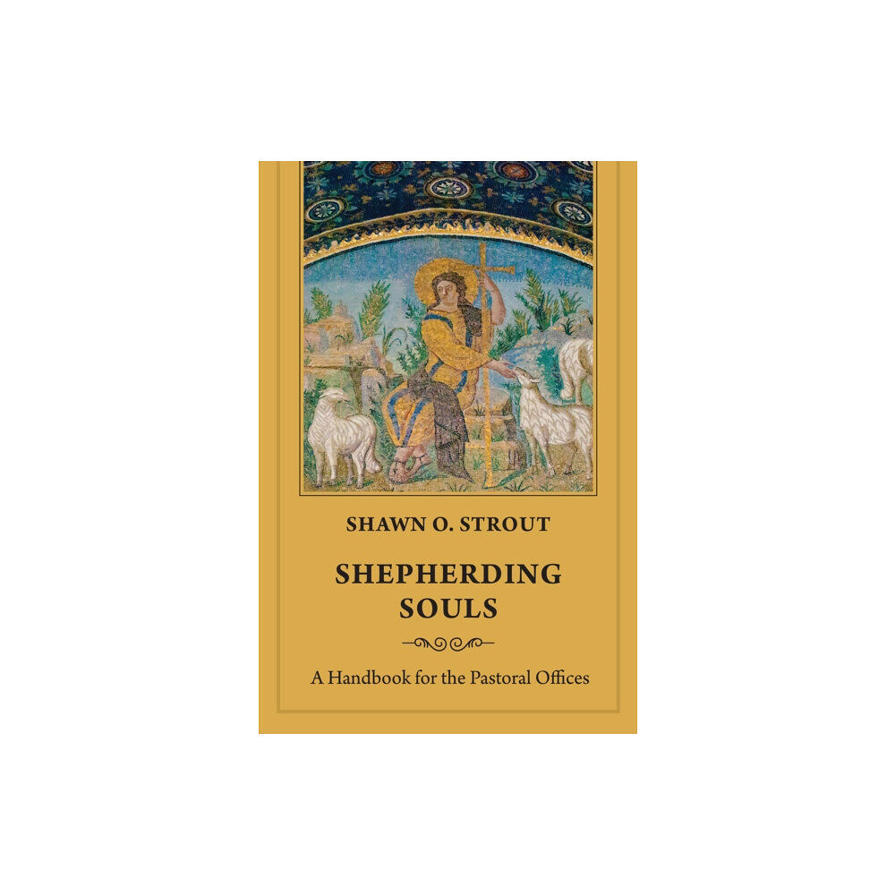 Church Publishing Inc Shepherding Souls (häftad, eng)