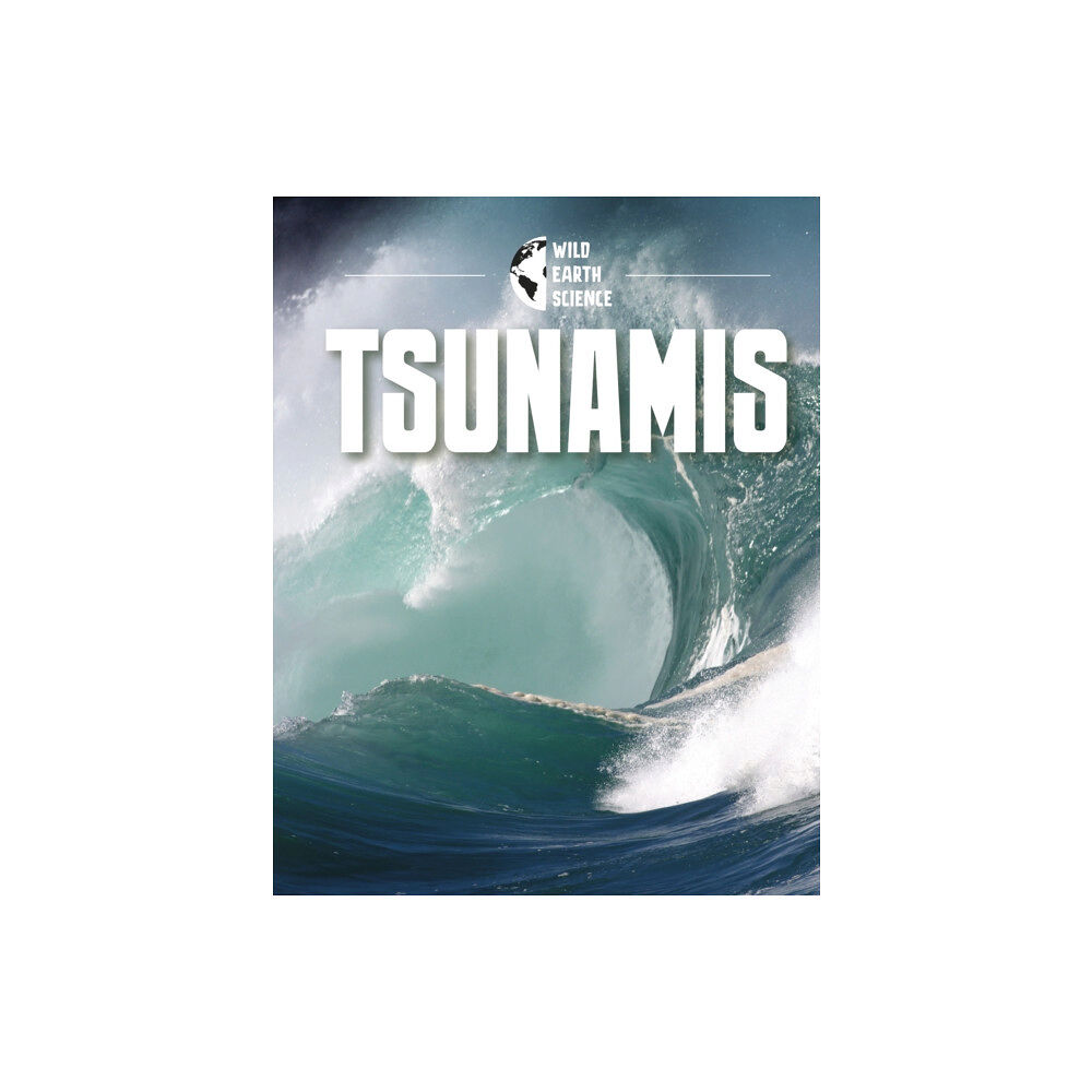 Capstone Global Library Ltd Tsunamis (häftad, eng)