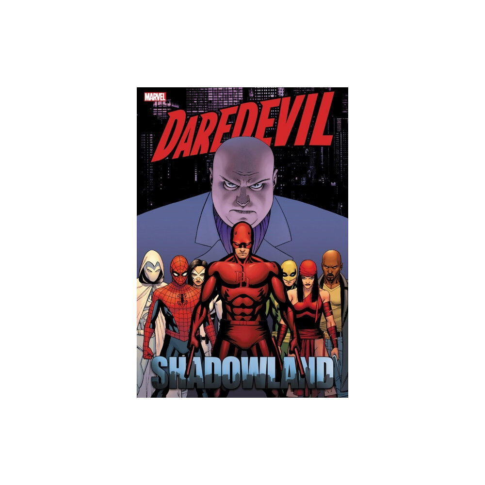 Marvel Comics Daredevil: Shadowland Omnibus Cassaday Cover (new Printing) (inbunden, eng)