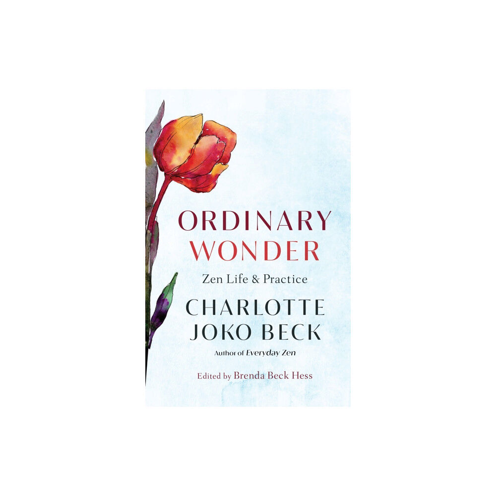 Shambhala Publications Inc Ordinary Wonder (häftad, eng)