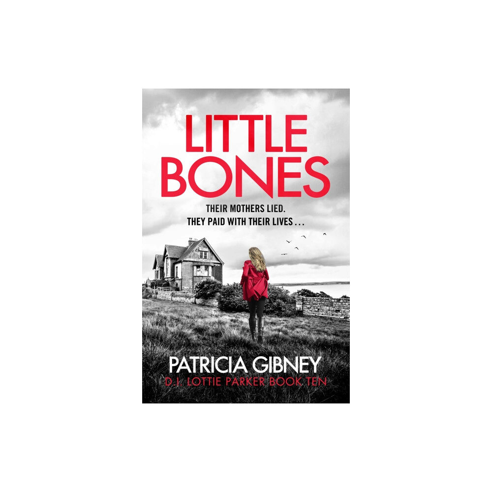 Little, Brown Book Group Little Bones (häftad, eng)