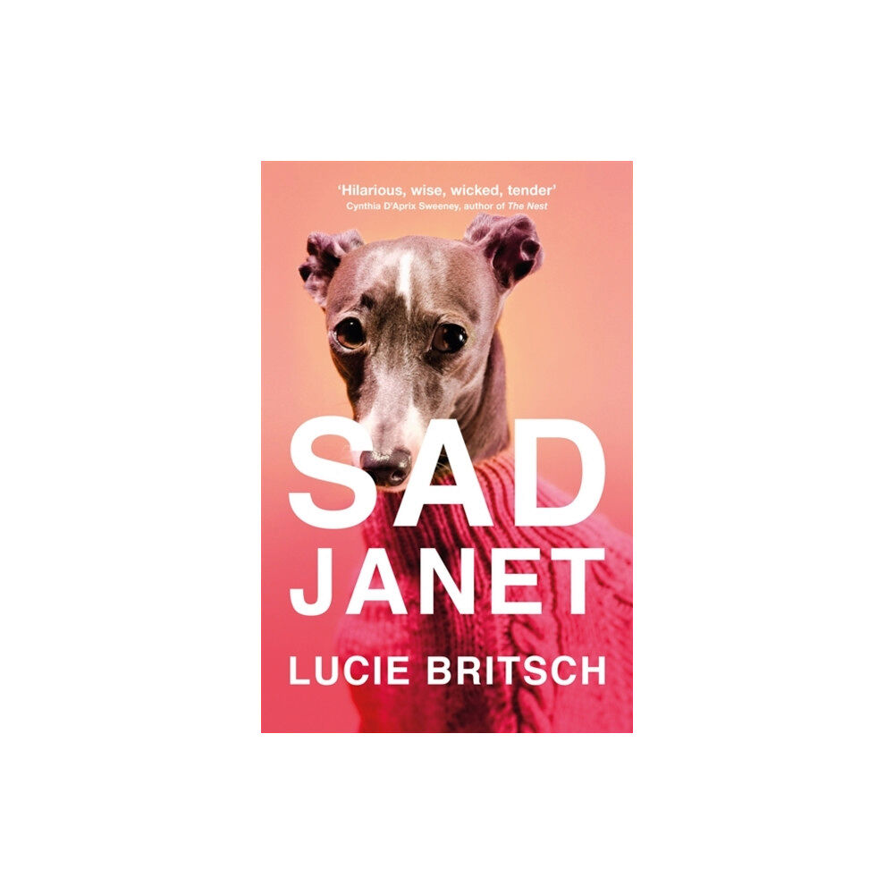 Orion Publishing Co Sad Janet (inbunden, eng)