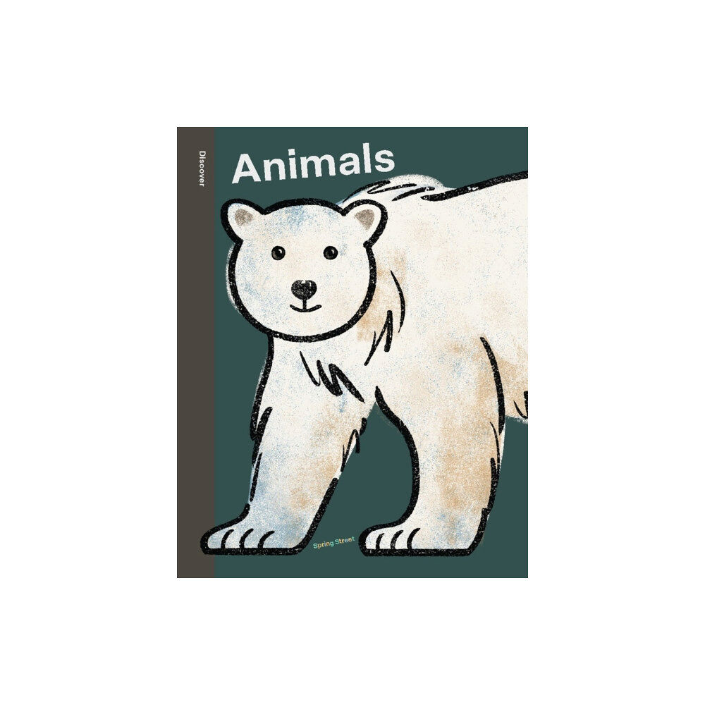 Lark Books,U.S. Spring Street Discover: Animals (inbunden, eng)