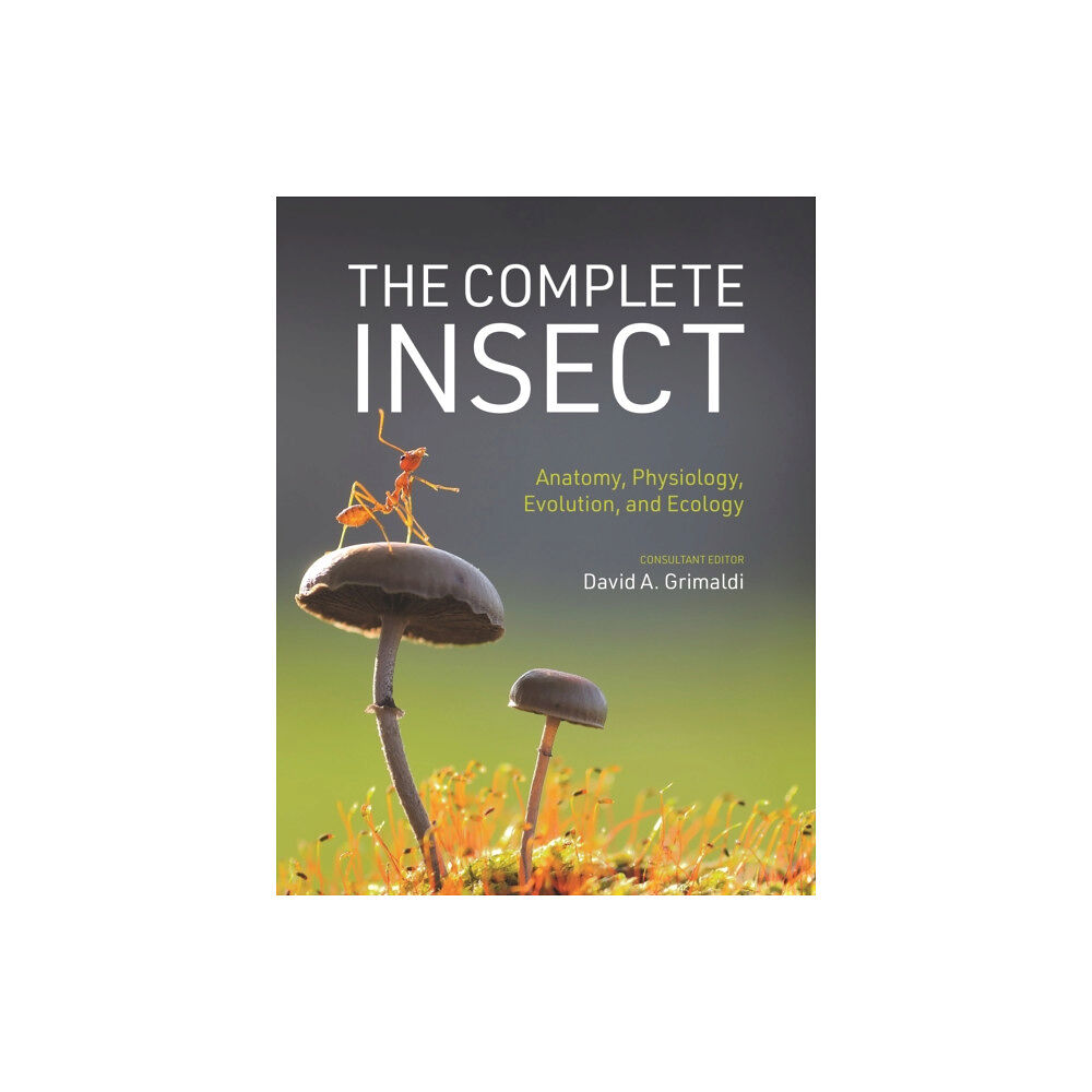 Princeton University Press The Complete Insect (inbunden, eng)