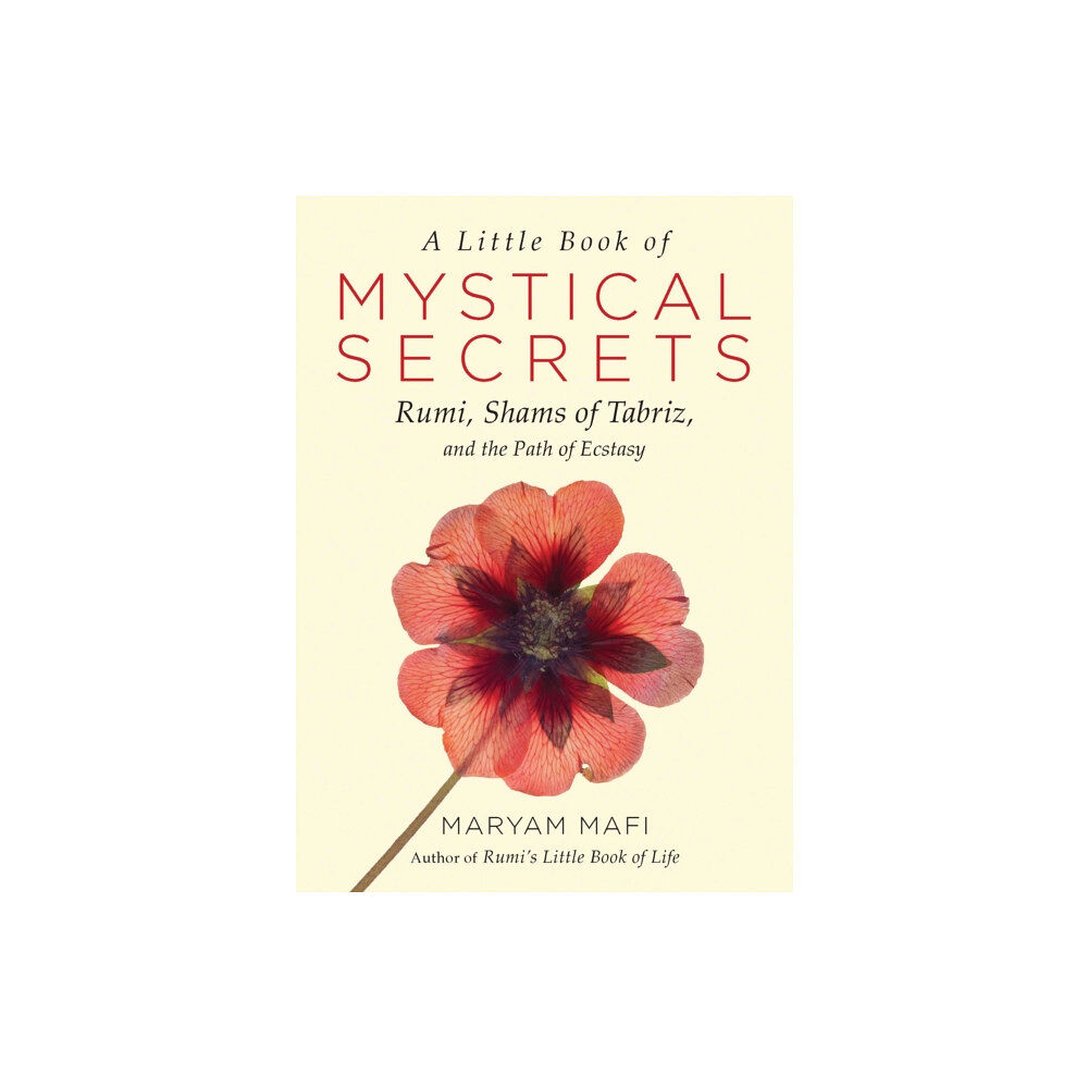 Hampton Roads Publishing Co A Little Book of Mystical Secrets (häftad, eng)