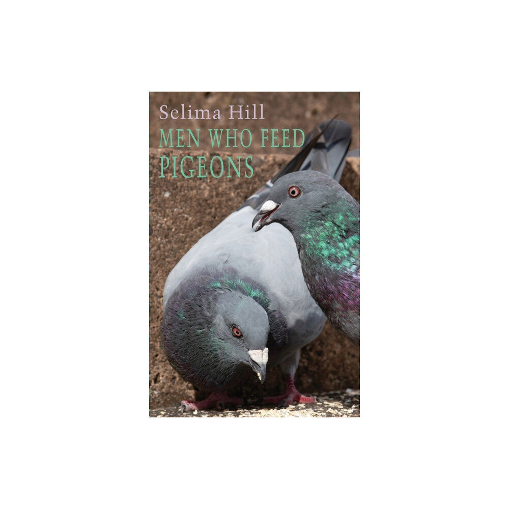 Bloodaxe Books Ltd Men Who Feed Pigeons (häftad, eng)