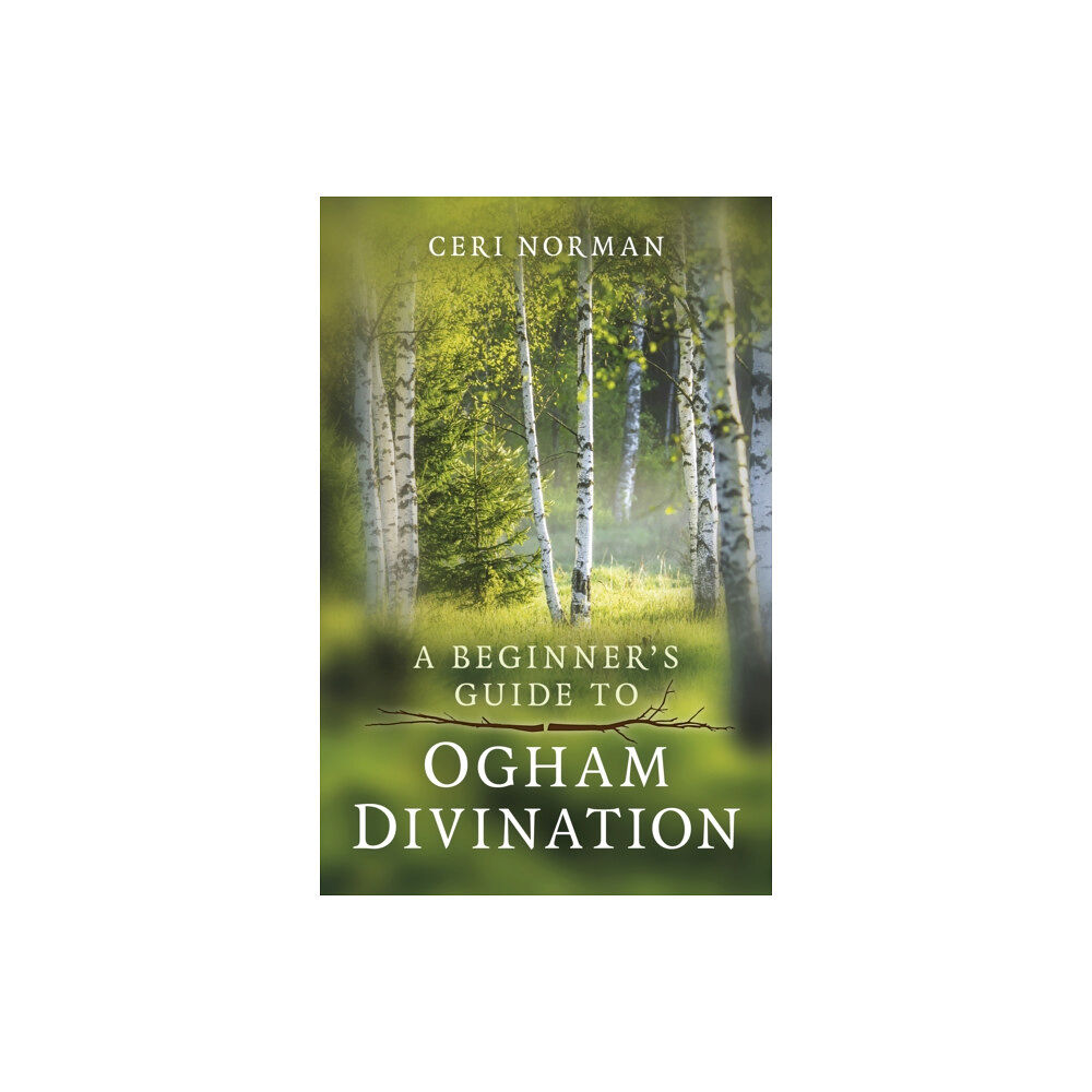 Collective Ink Beginner's Guide to Ogham Divination, A (häftad, eng)