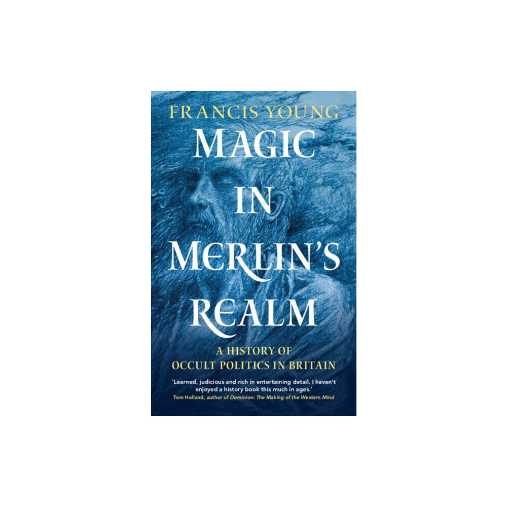 Cambridge University Press Magic in Merlin's Realm (inbunden, eng)