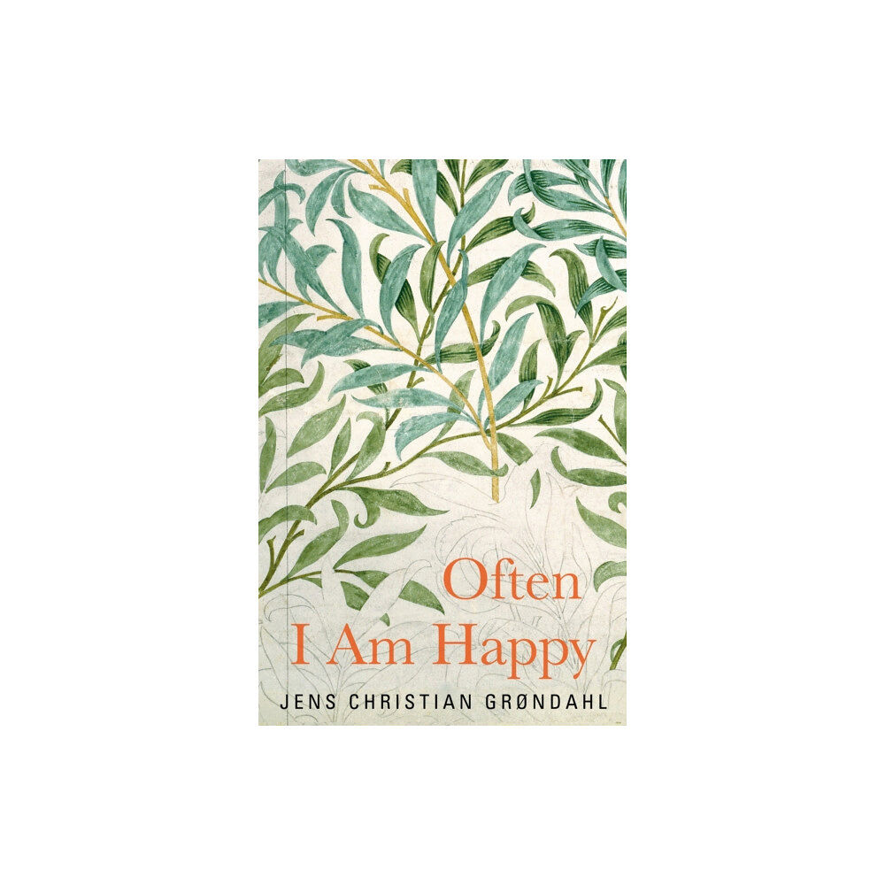 Pan Macmillan Often I Am Happy (häftad, eng)