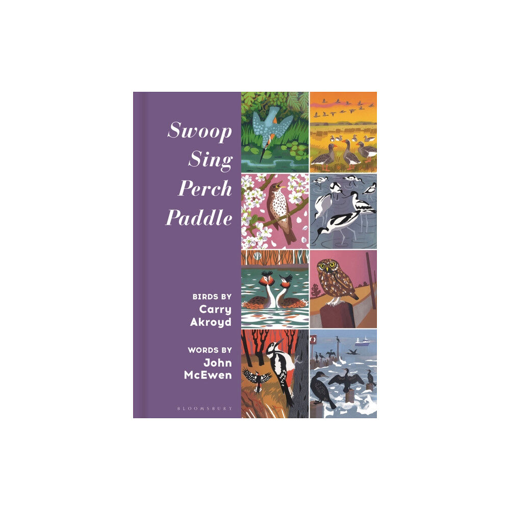 Bloomsbury Publishing PLC Swoop Sing Perch Paddle (inbunden, eng)