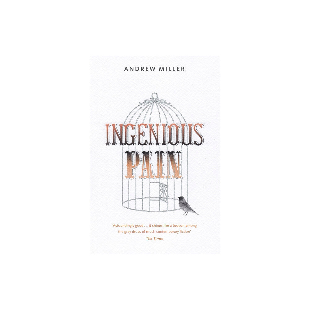 Hodder & Stoughton Ingenious Pain (häftad, eng)