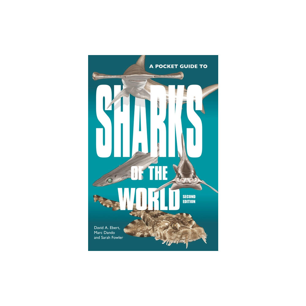 Princeton University Press A Pocket Guide to Sharks of the World (häftad, eng)