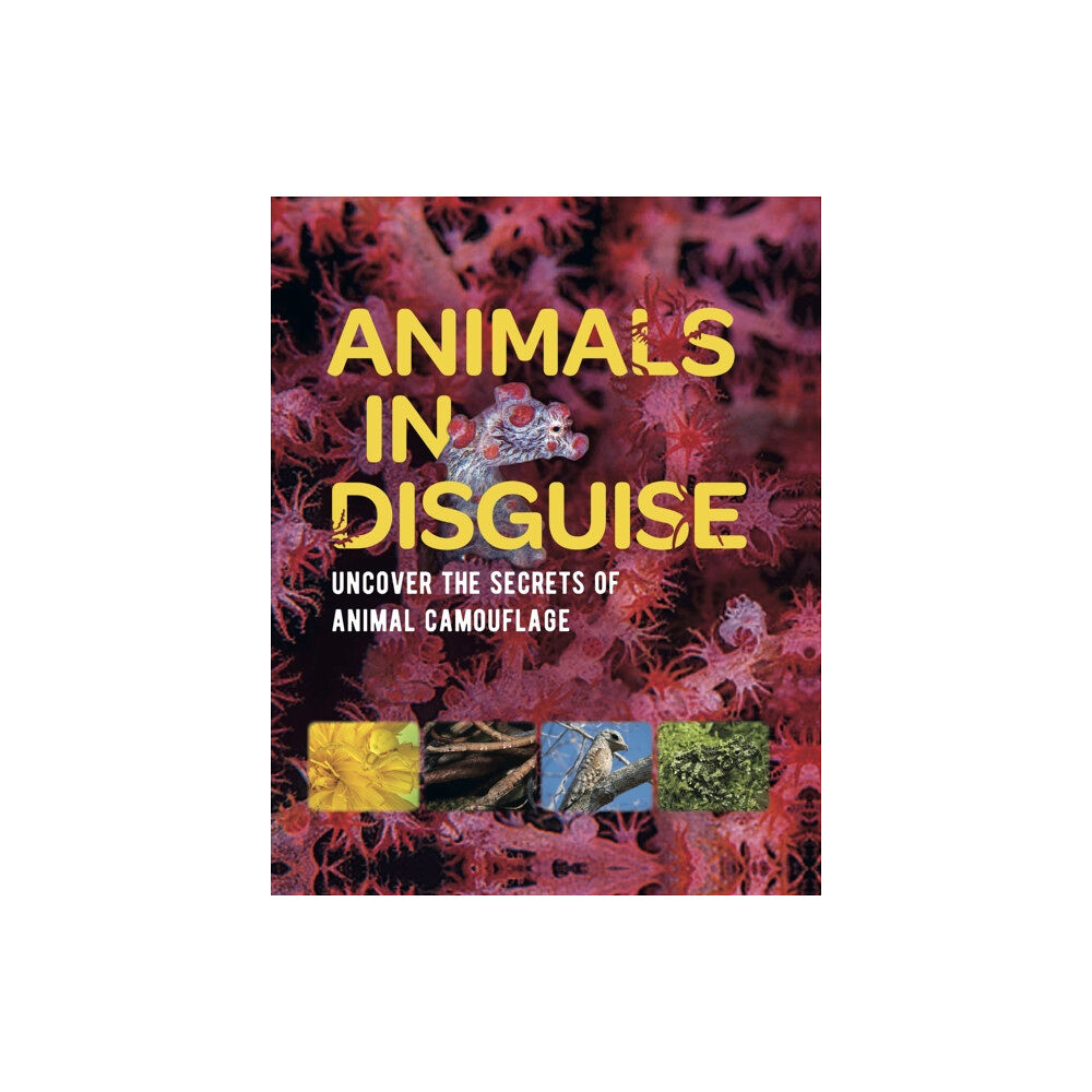 Hachette Children's Group Animals in Disguise (häftad, eng)