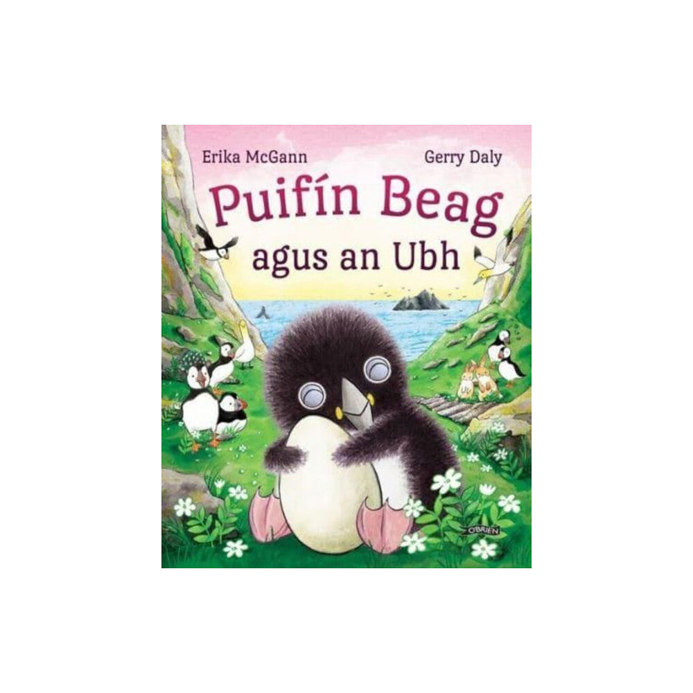 O'Brien Press Ltd Puifin Beag agus an Ubh (häftad, gle)