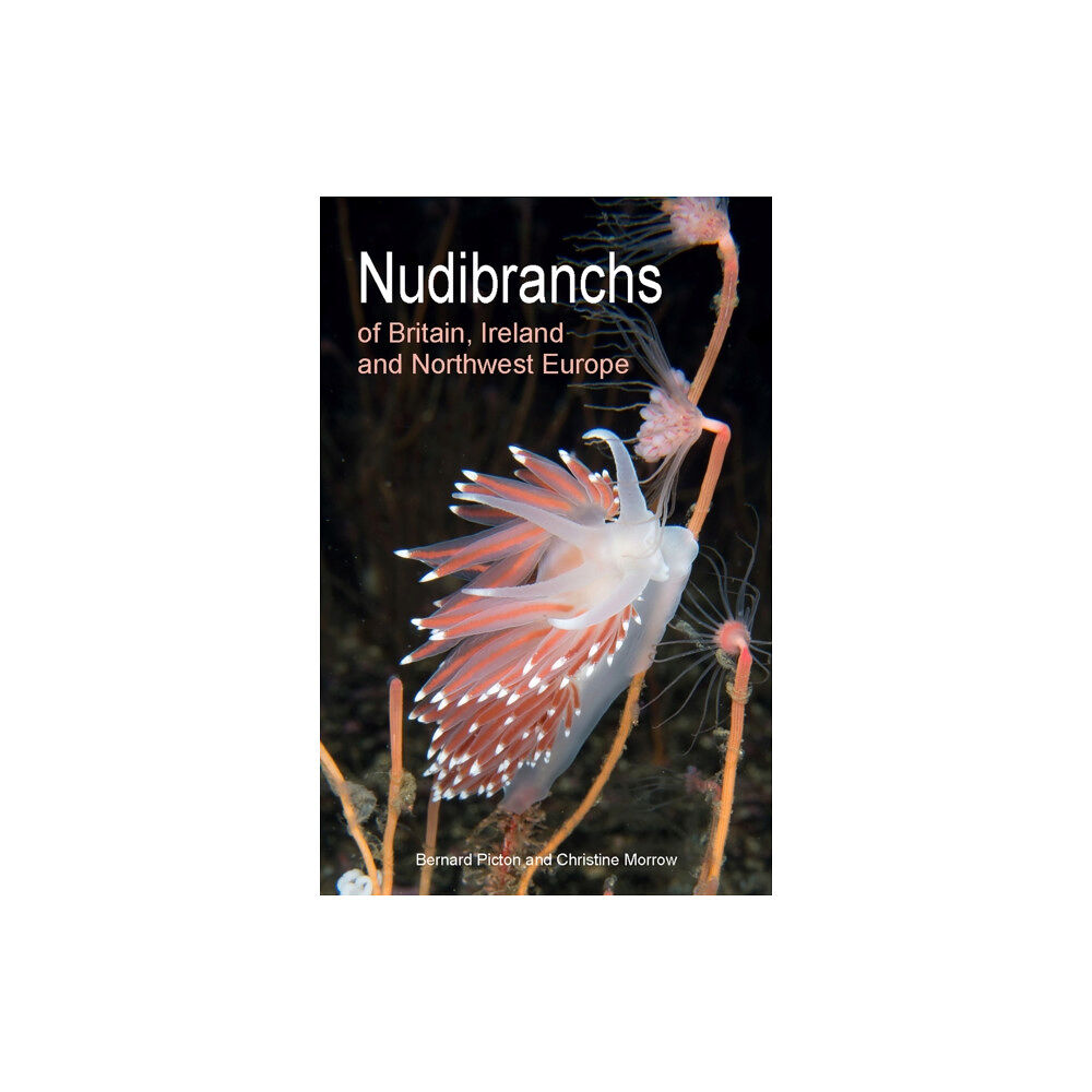 Princeton University Press Nudibranchs of Britain, Ireland and Northwest Europe (häftad, eng)