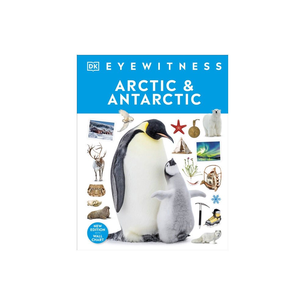 Dorling Kindersley Ltd Arctic and Antarctic (inbunden, eng)