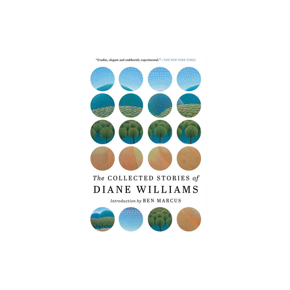 Soho Press Inc The Collected Stories of Diane Williams (häftad, eng)