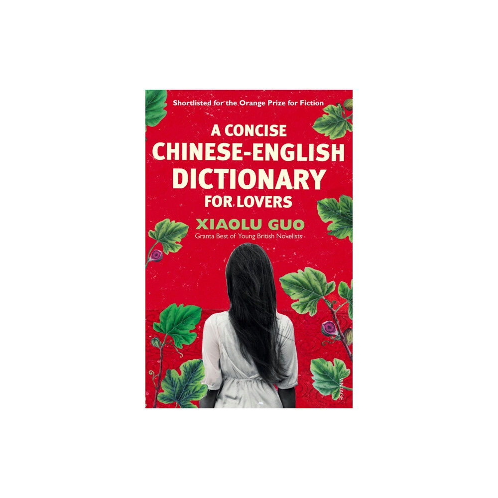 Vintage Publishing A Concise Chinese-English Dictionary for Lovers (häftad, eng)