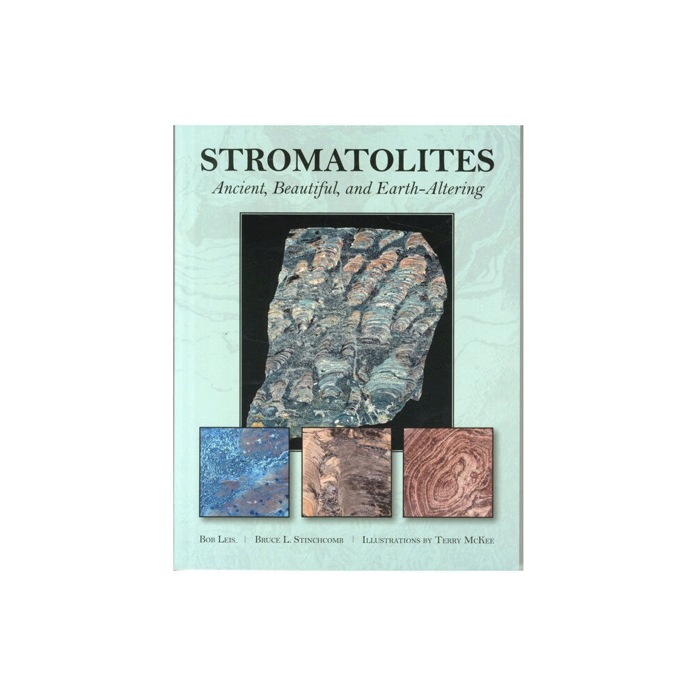 Schiffer Publishing Ltd Stromatolites (häftad, eng)