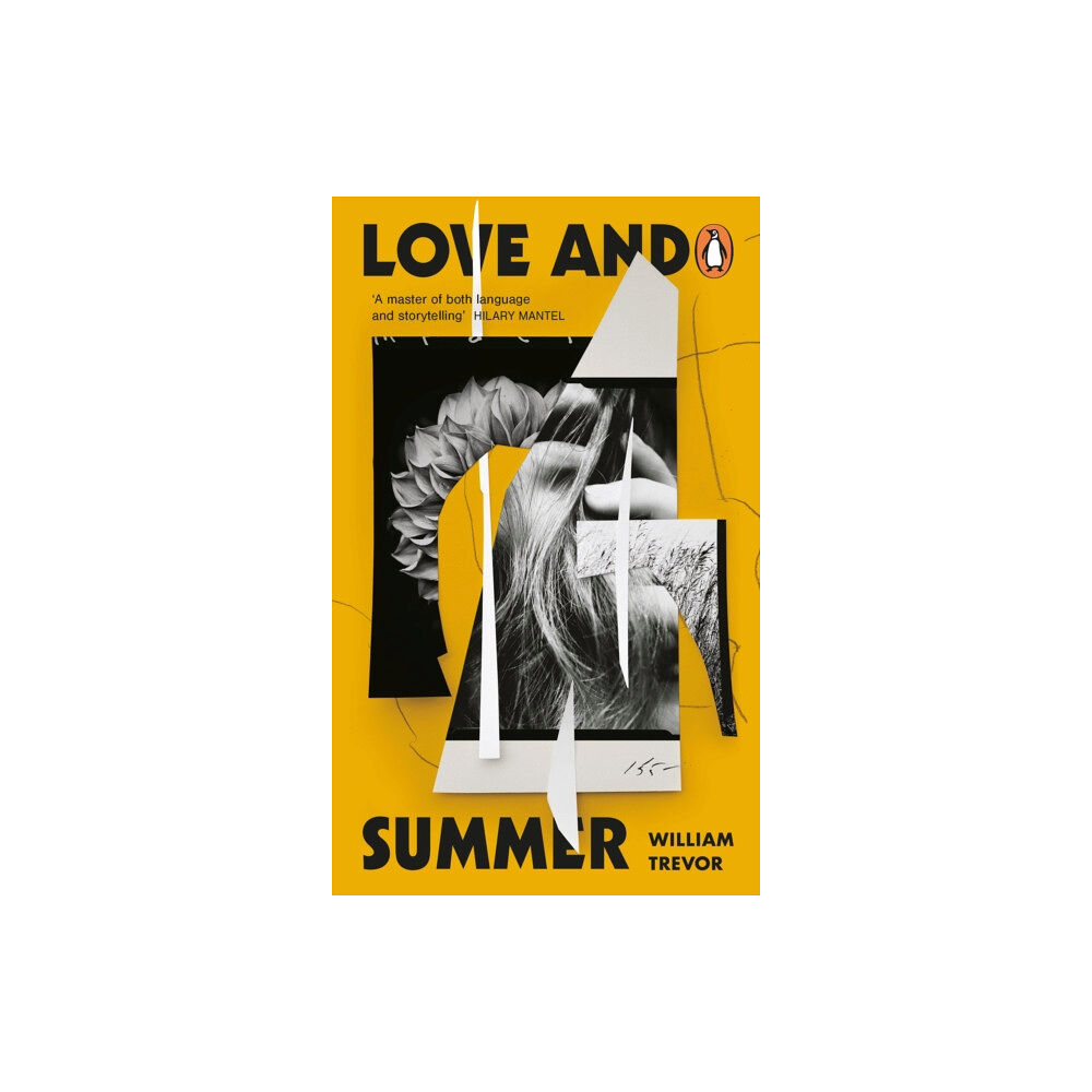 Penguin books ltd Love and Summer (häftad, eng)