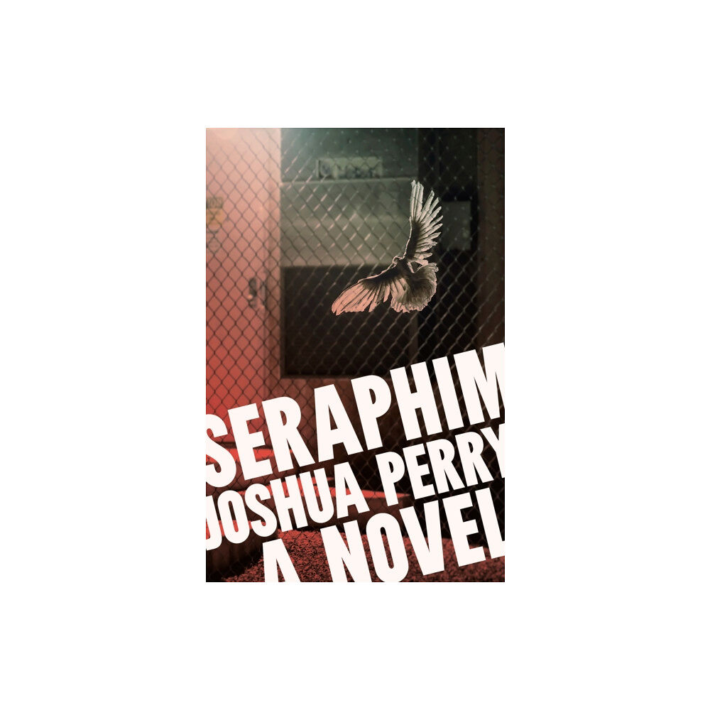 Melville House Publishing Seraphim (häftad, eng)