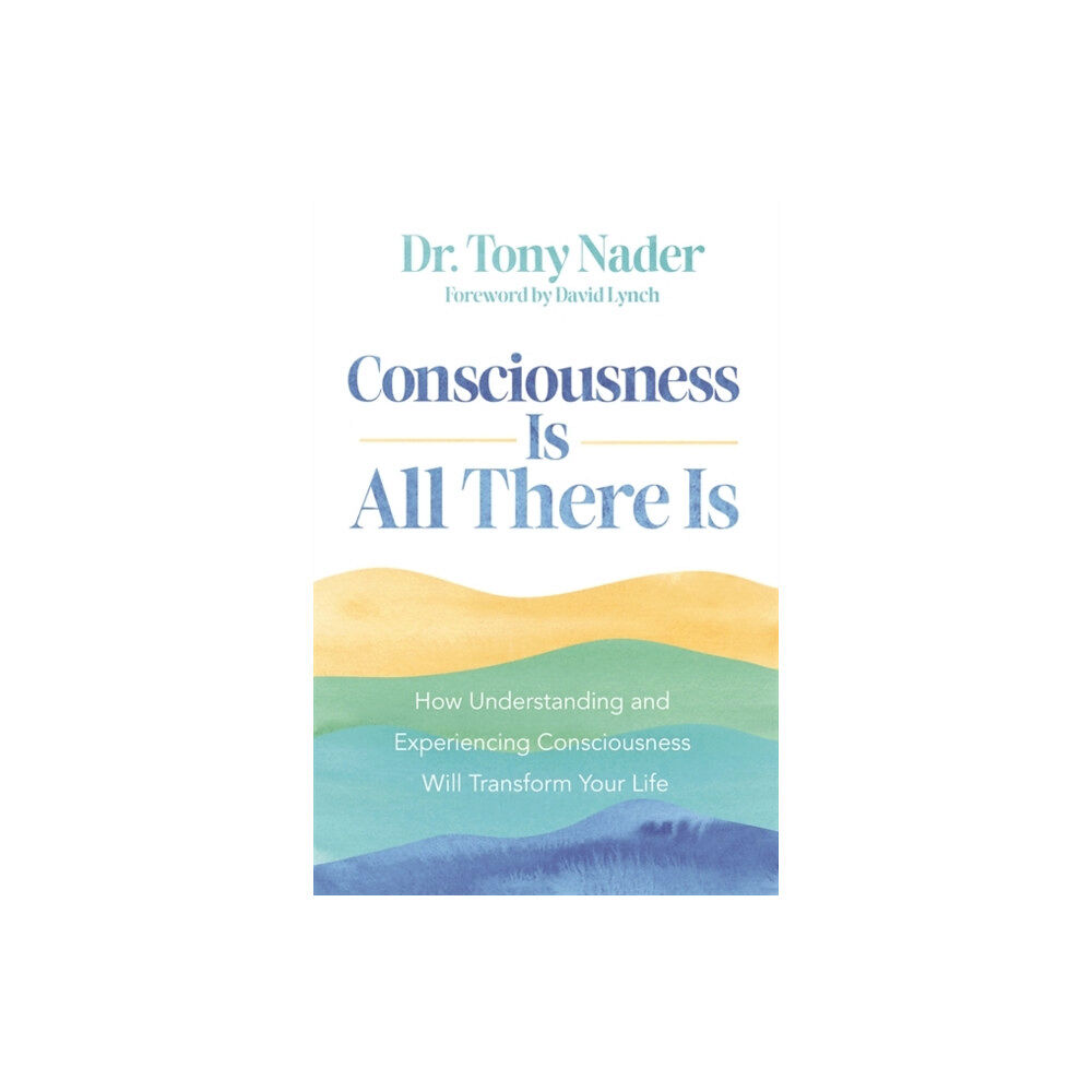 Hay House UK Ltd Consciousness Is All There Is (häftad, eng)