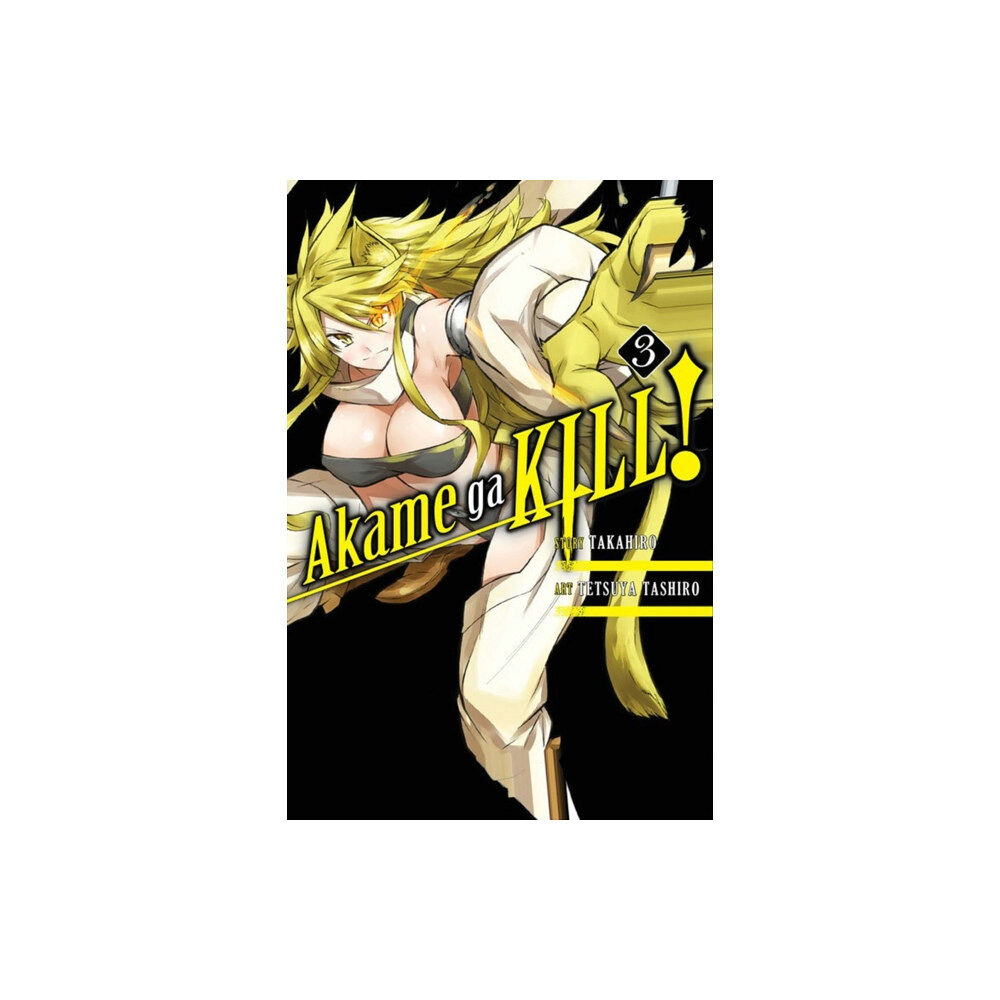 Little, Brown & Company Akame Ga Kill!, Vol. 3 (häftad, eng)