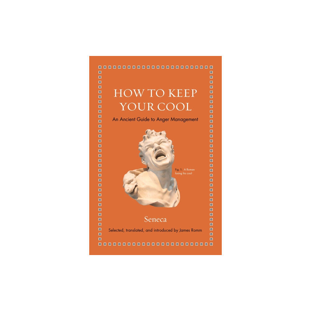 Princeton University Press How to Keep Your Cool (inbunden, eng)