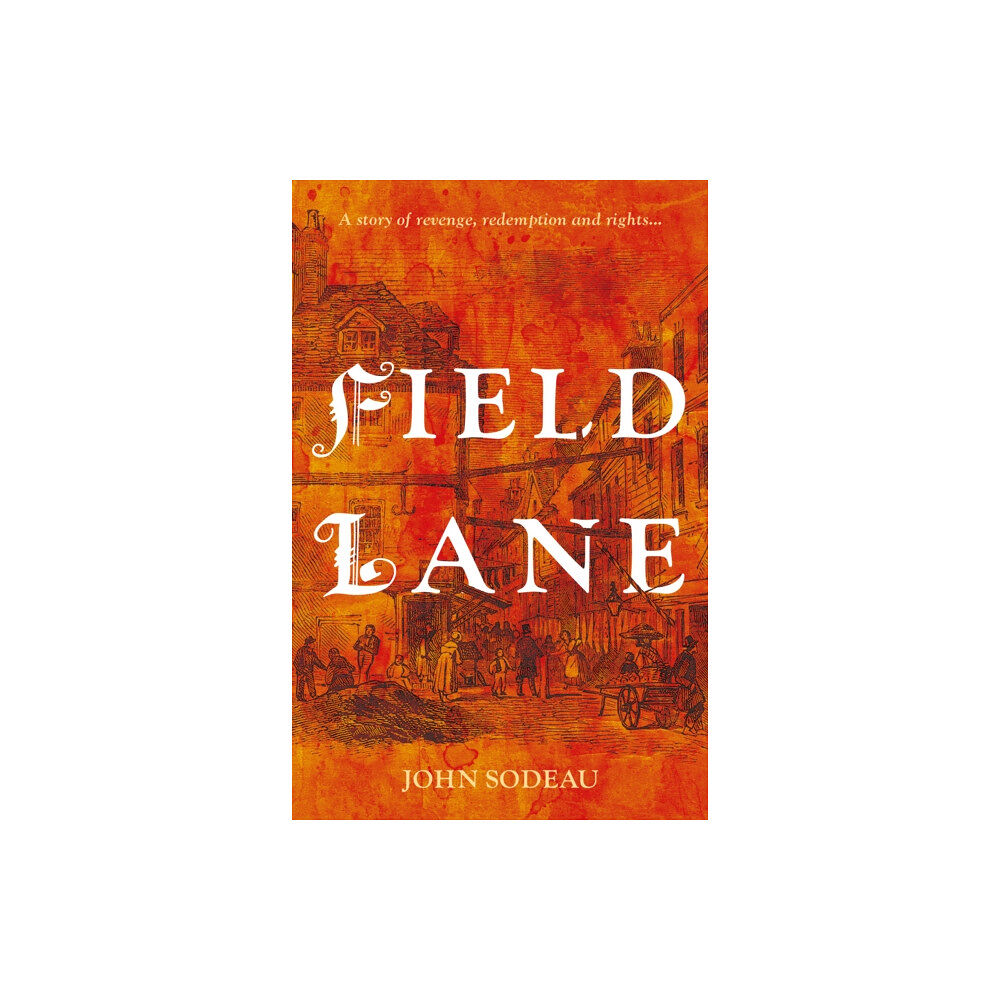 Troubador Publishing Field Lane (häftad, eng)