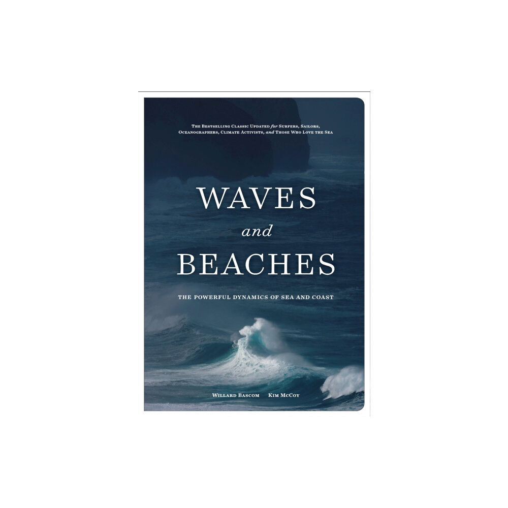 Patagonia Books Waves and Beaches (inbunden, eng)