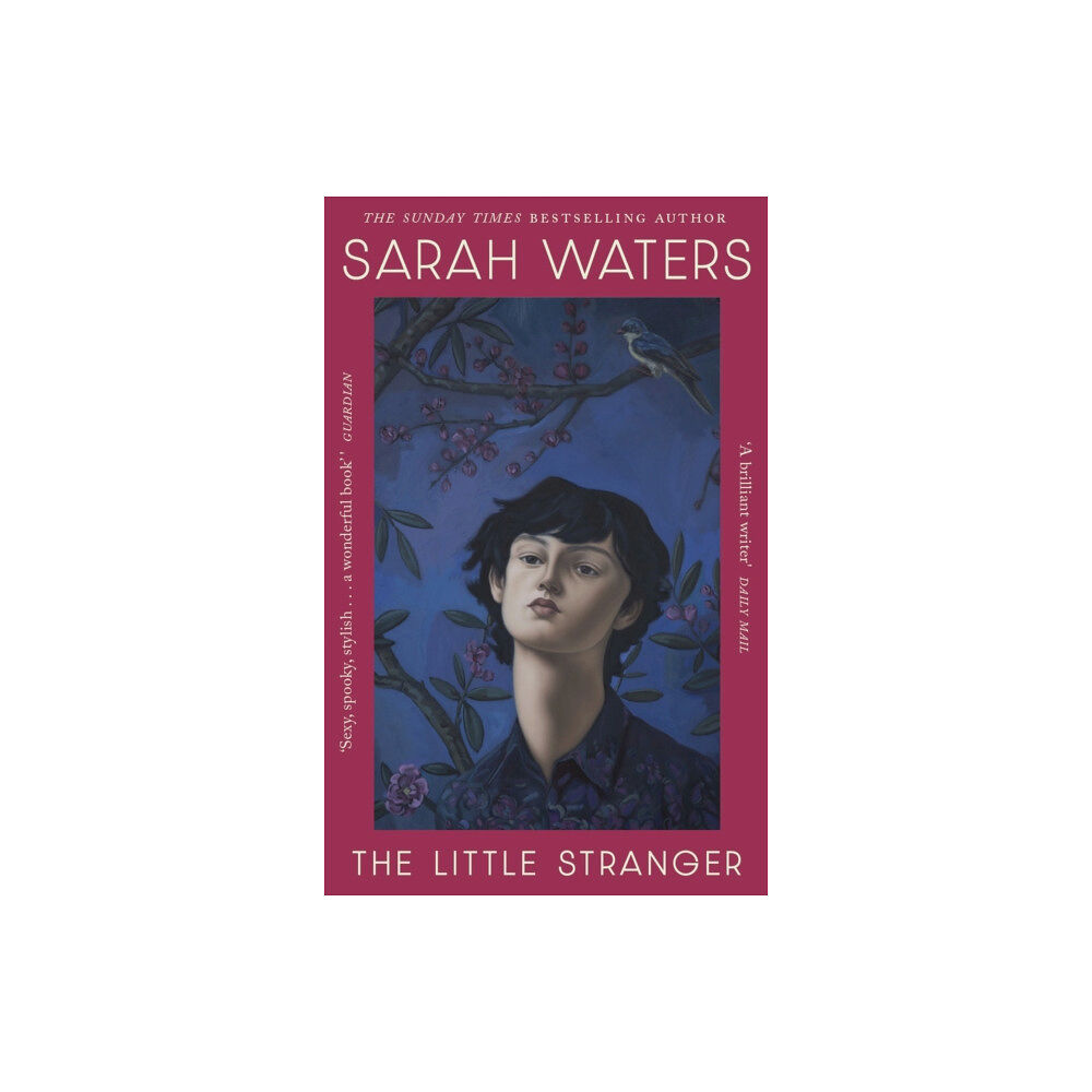 Little, Brown Book Group The Little Stranger (häftad, eng)