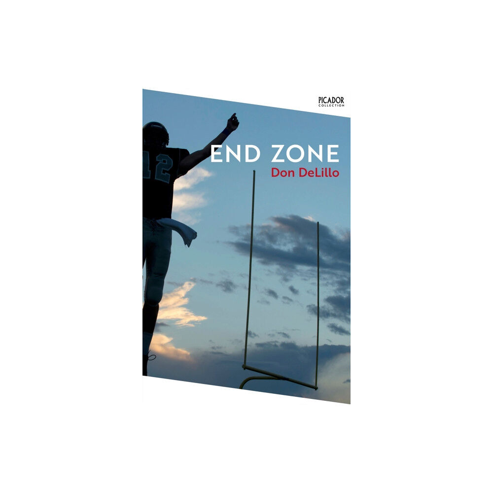 Pan Macmillan End Zone (häftad, eng)