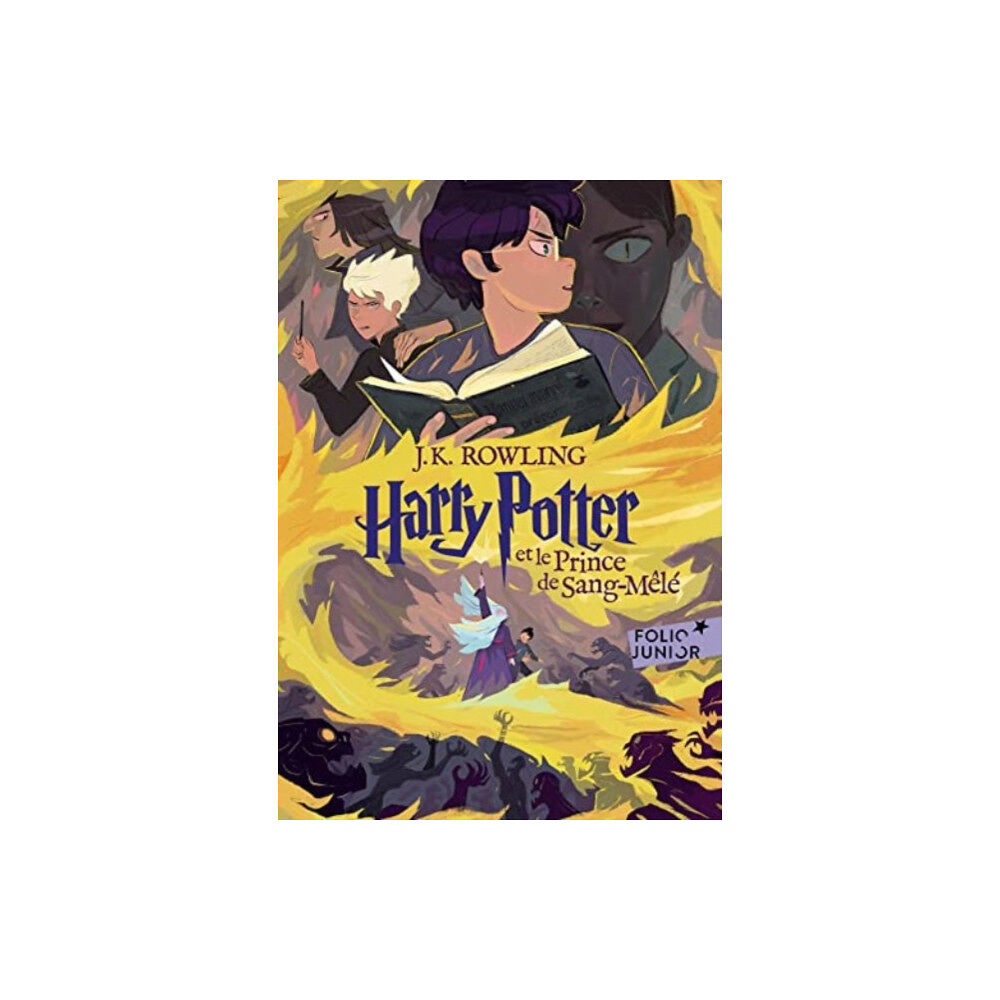 Gallimard Harry Potter et le Prince de Sang-Mele Book 6 (häftad, fre)