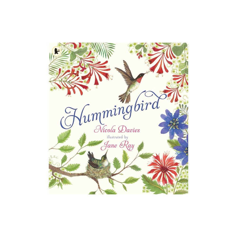 Walker Books Ltd Hummingbird (häftad, eng)