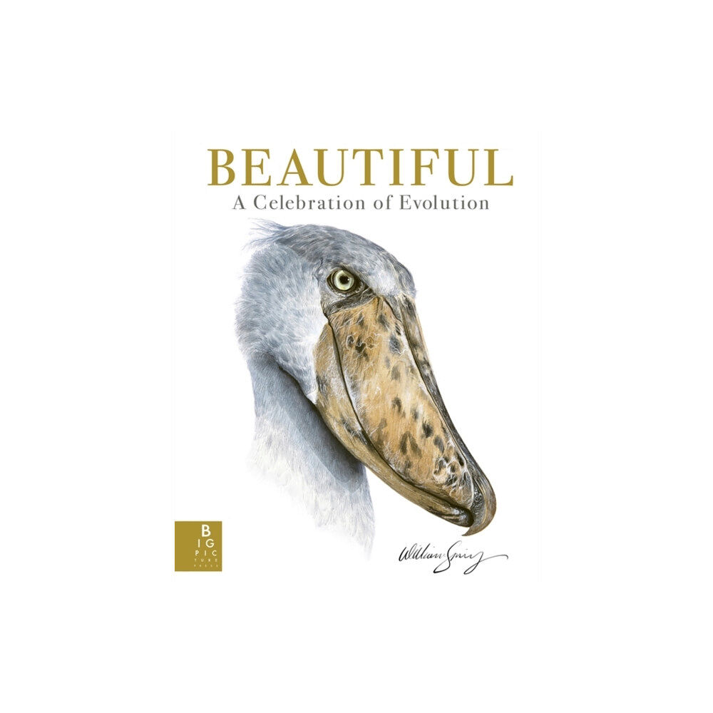 Templar Publishing Beautiful (inbunden, eng)