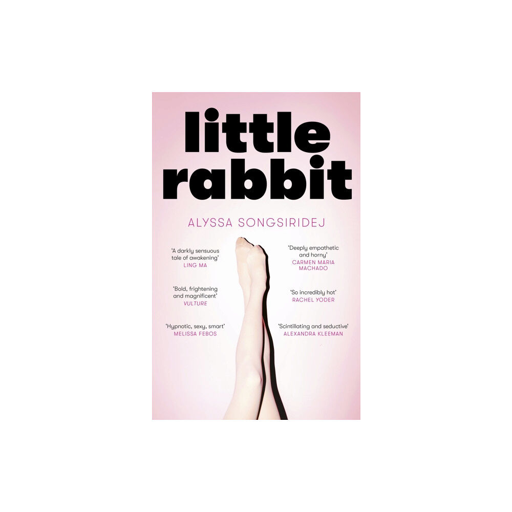 Little, Brown Book Group Little Rabbit (häftad, eng)