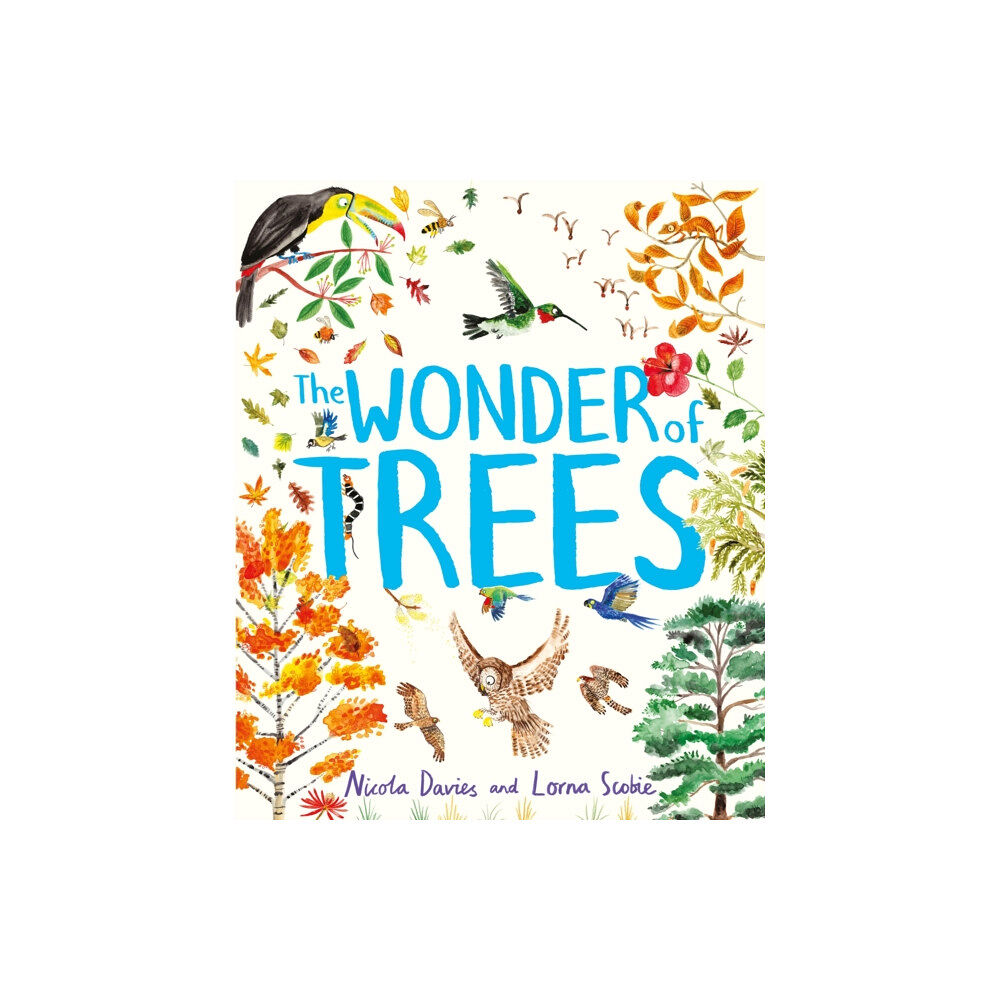 Hachette Children's Group The Wonder of Trees (inbunden, eng)