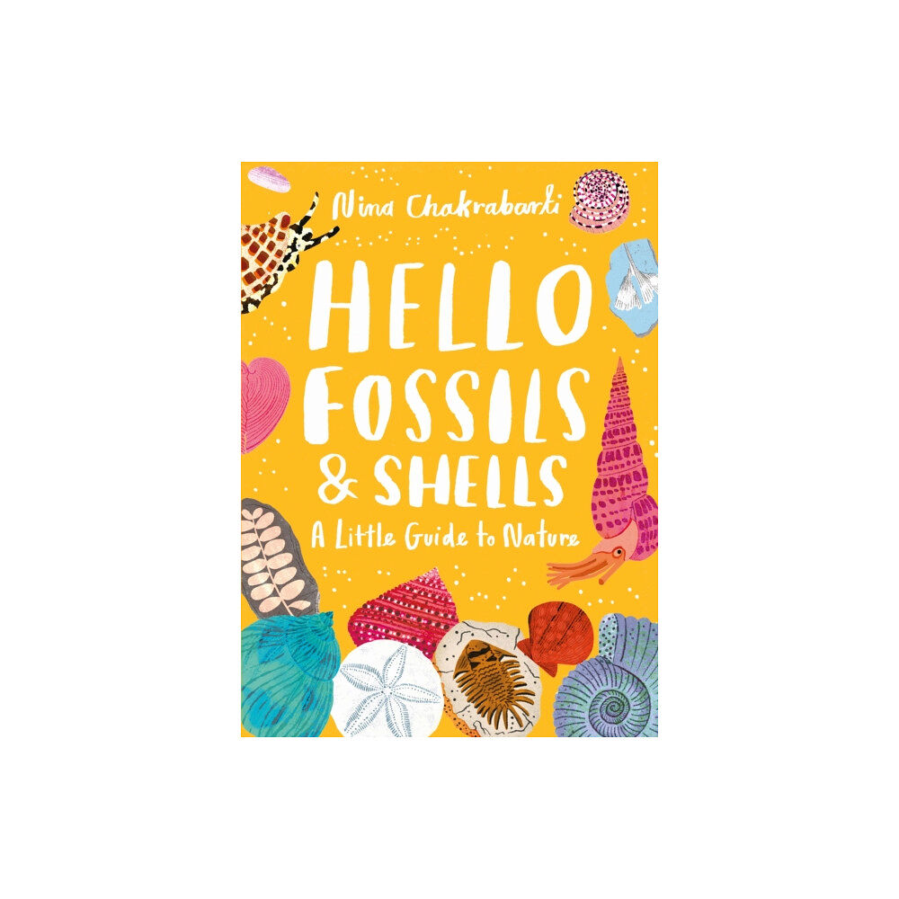 Hachette Children's Group Little Guides to Nature: Hello Fossils and Shells (inbunden, eng)