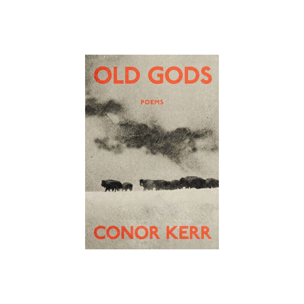 Harbour Publishing Old Gods (häftad, eng)