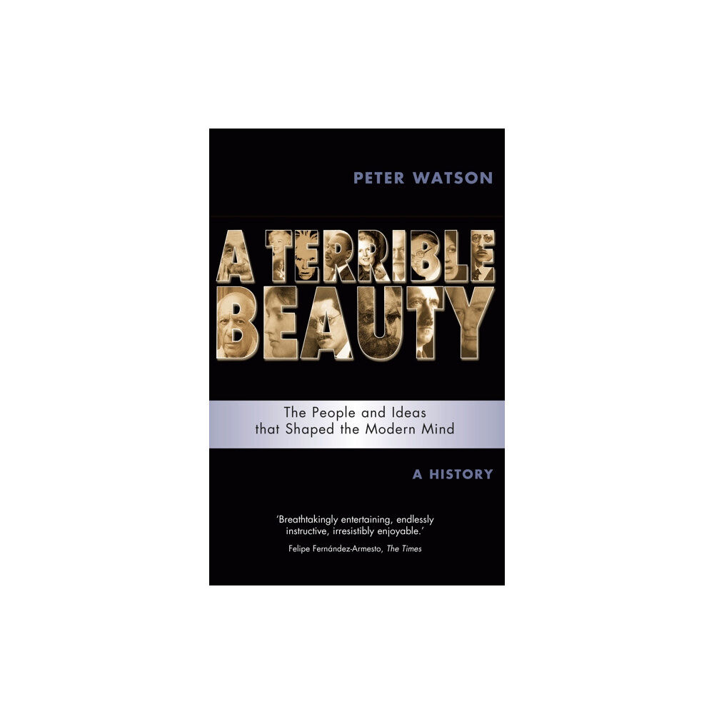 Orion Publishing Co Terrible Beauty: A Cultural History of the Twentieth Century (häftad, eng)