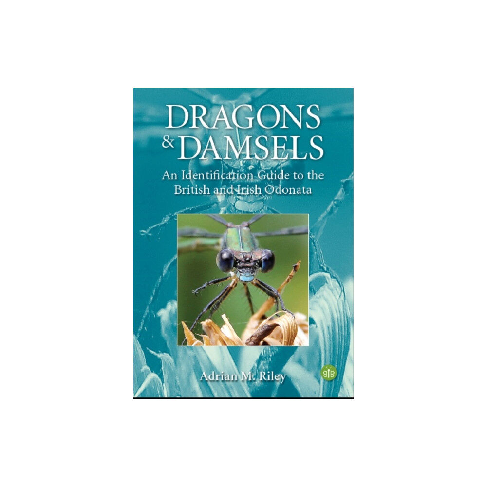 Brambleby Books Dragons and Damsels (häftad, eng)